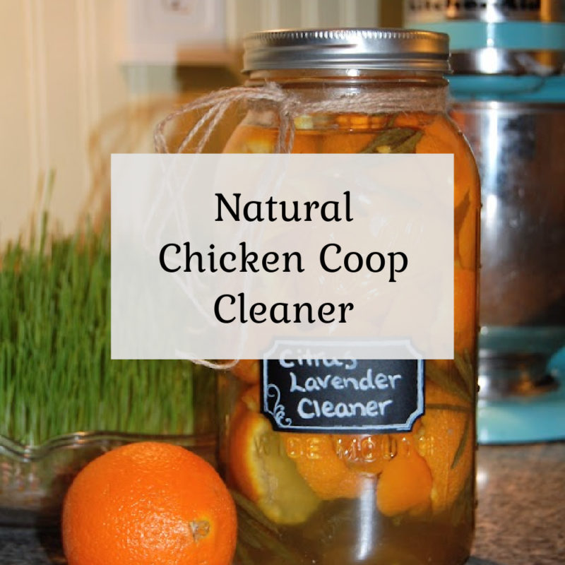 Natural Chicken Coop Cleaner