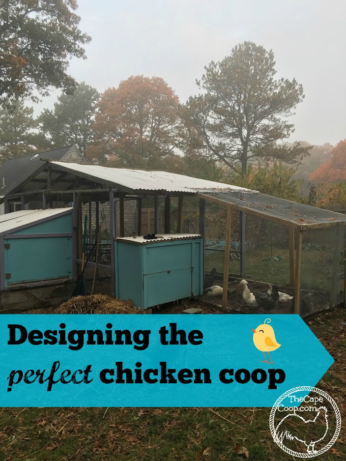 Designing the perfect chicken coop