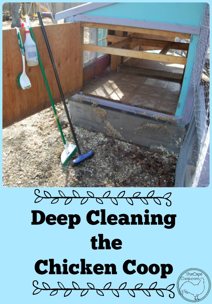 Deep Cleaning the Chicken Coop