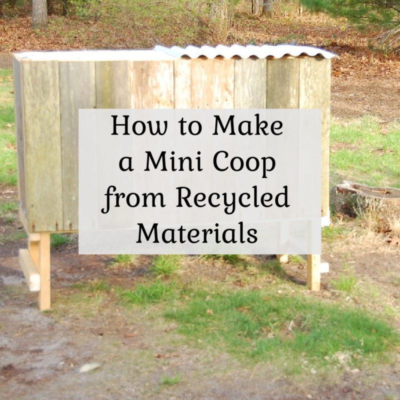 How to Make a Mini Coop from Recycled Materials