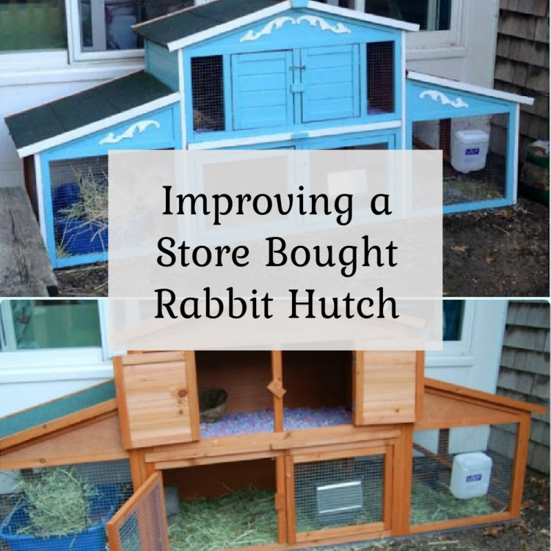 improving a store bought rabbit hutch