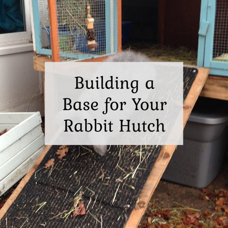Building a raised base for a rabbit hutch