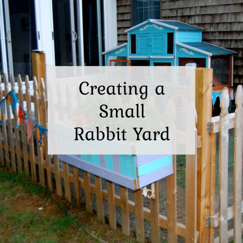 Creating a small rabbit yard