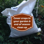 Using cover crops isn't just for big scale farmers, you can use them too!