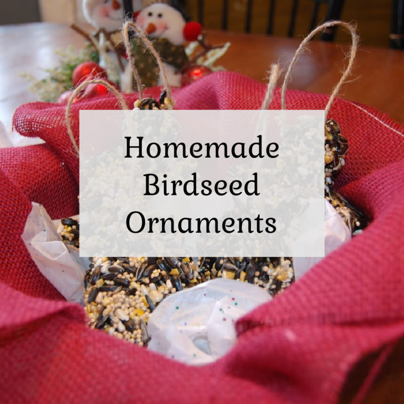 Homemade Birdseed Ornaments