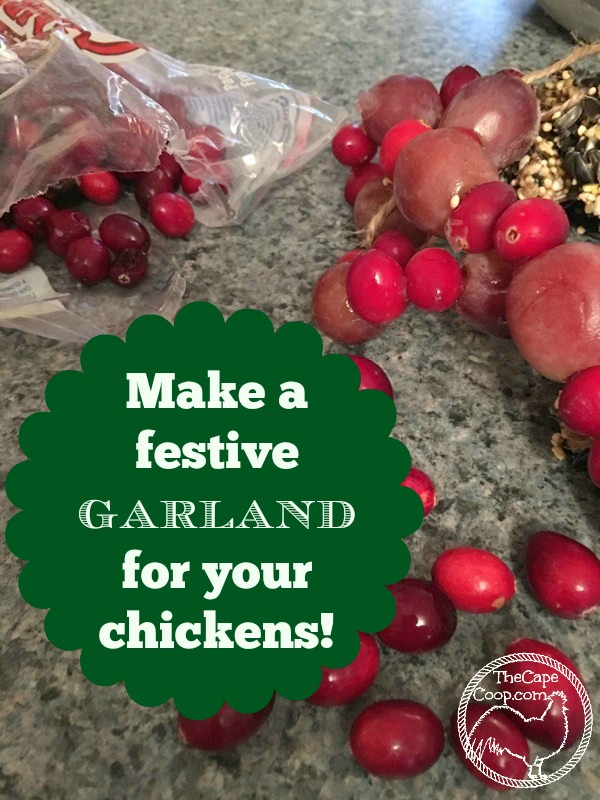 Make a festive garland for your chickens