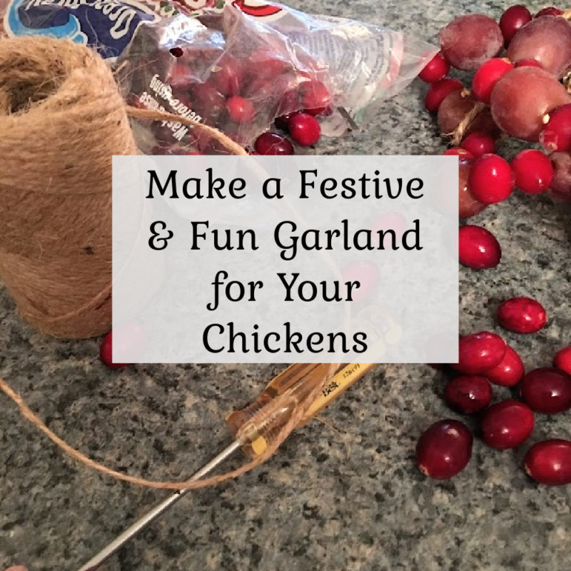 Make a Fun & Festive Garland for Your Chickens