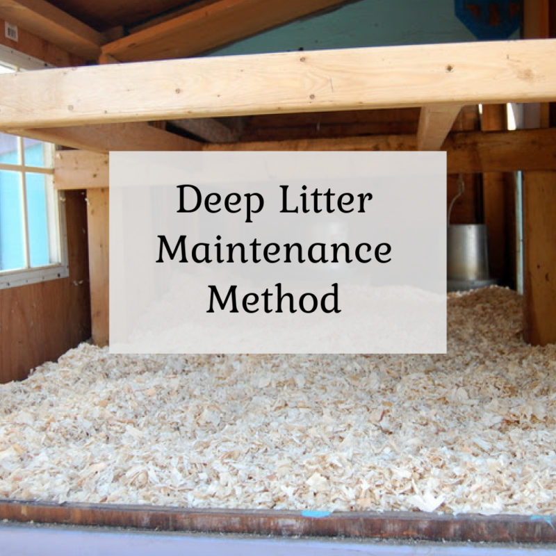 Deep Litter Maintenance Method