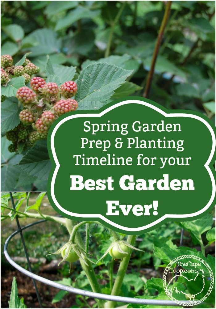 Spring Garden Prep, Planting Timeline for Your Best Garden Ever!