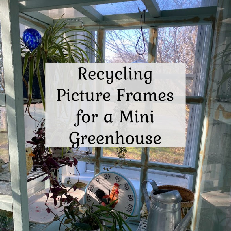 Recycling Picture Frames for a Mini Greenhouse