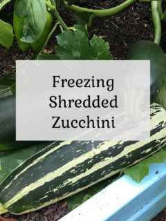 Freezing Shredded Zucchini