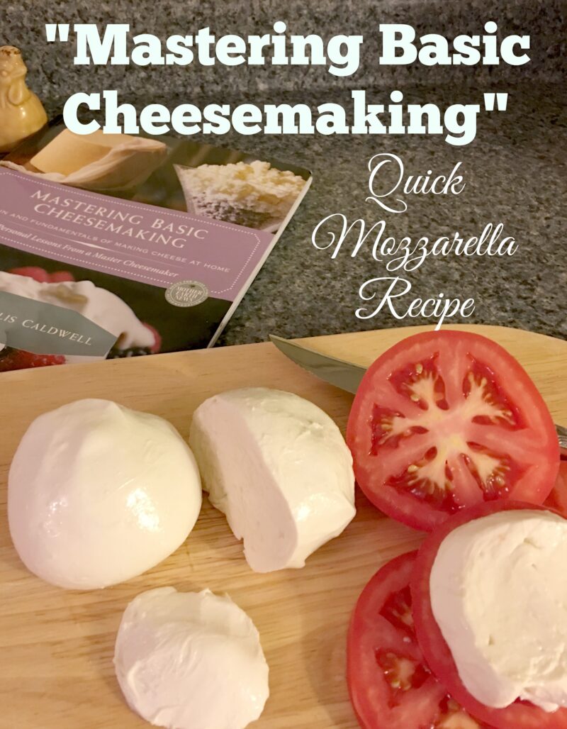 “Mastering Basic Cheesemaking” & Quick Mozzarella Recipe