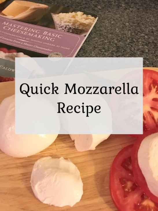Quick Mozzarella Recipe
