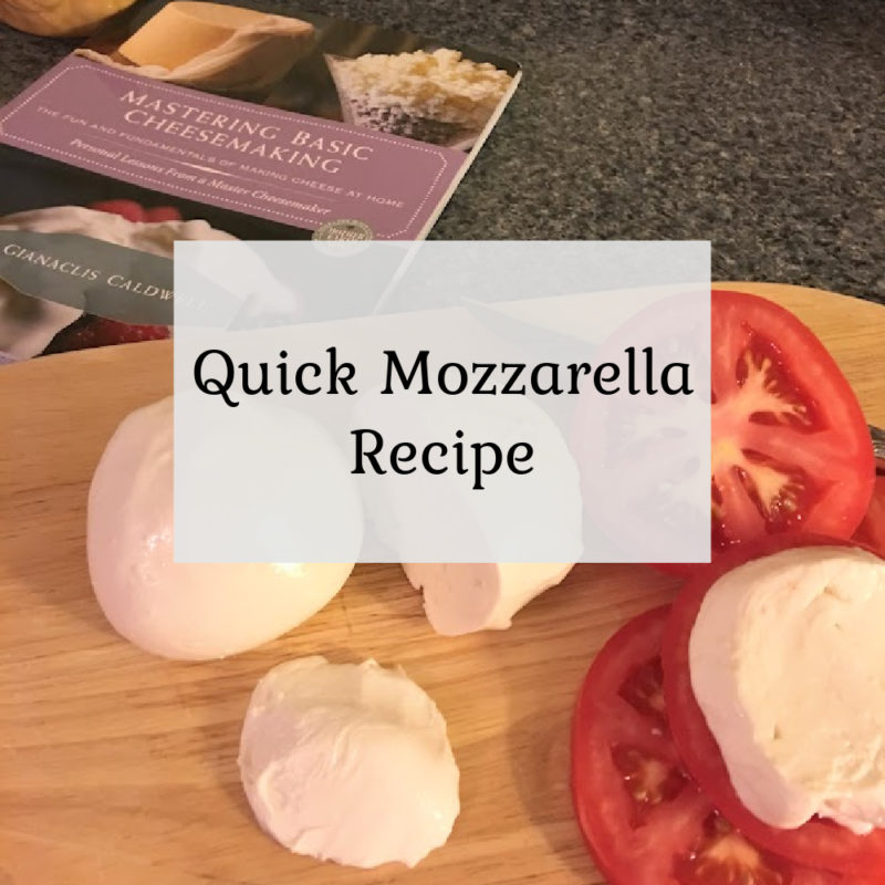 Quick Mozzarella Recipe