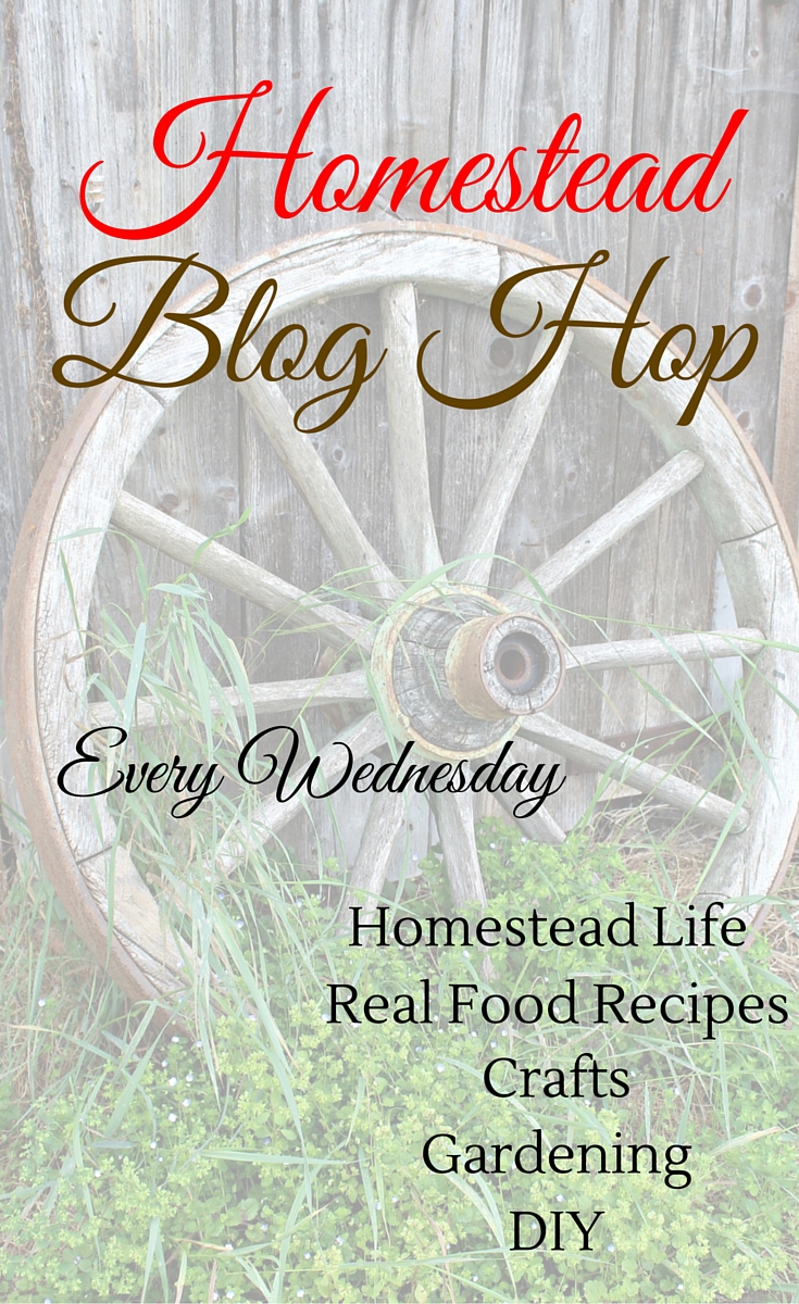 Homestead Blog Hop #118