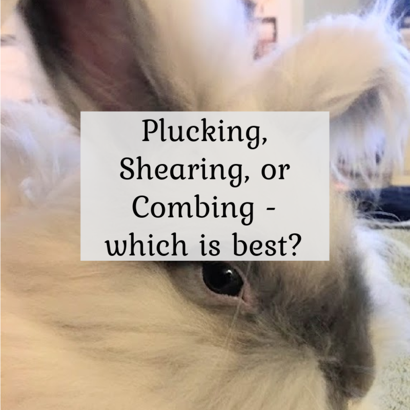 plucking, shearing, or combing, which is best