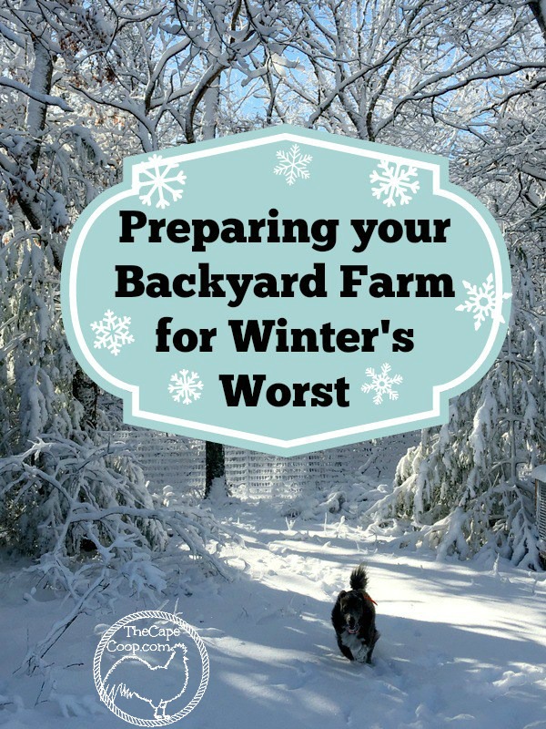 Preparing Your Farm for Winter's Worst