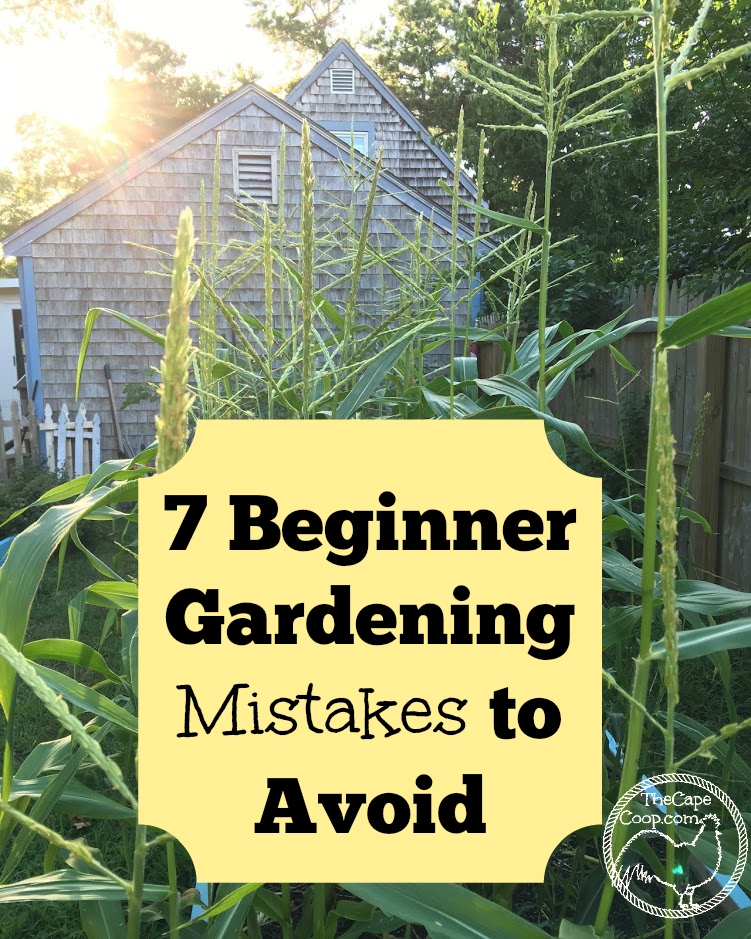 7 Beginner Gardening Mistakes to Avoid
