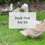 Duck First Aid Kit