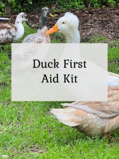Duck First Aid Kit