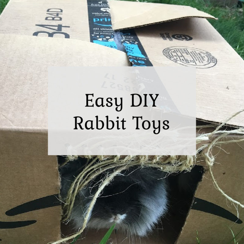 DIY Rabbit Toys