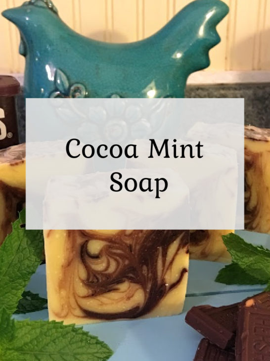 Cocoa Mint Soap Recipe & The Natural Soap Making Book
