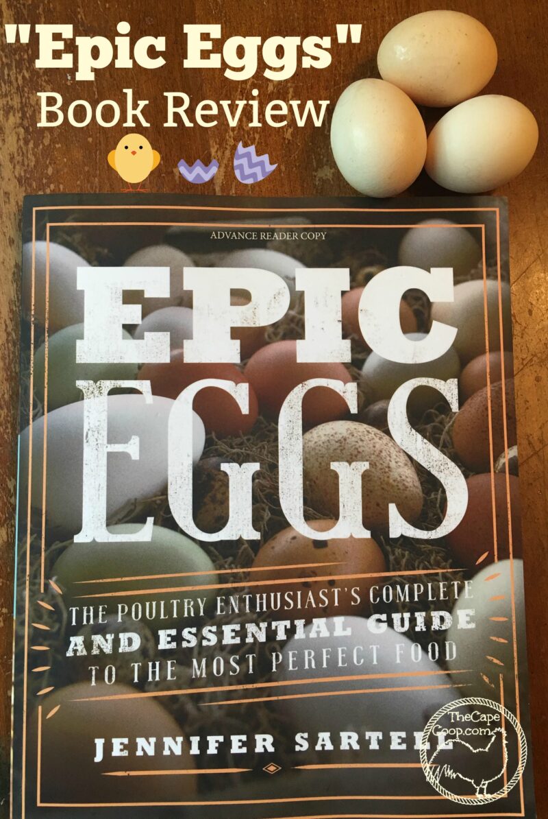 “Epic Eggs” Book Review