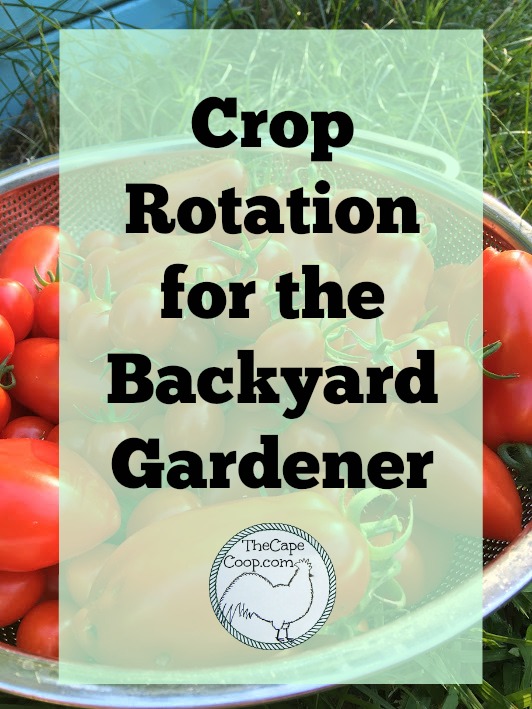 Crop rotation for the backyard gardener
