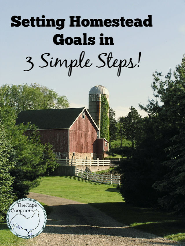 Setting homestead goals in 3 simple steps