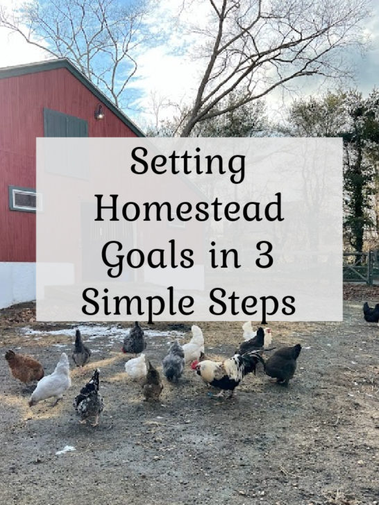 Setting Homestead Goals in 3 Simple Steps!