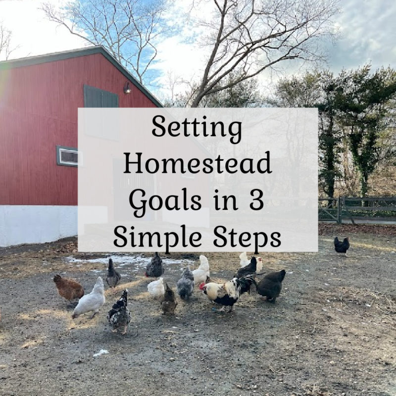 Setting Homestead Goals in 3 Simple Steps