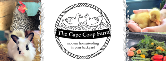 The Cape Coop