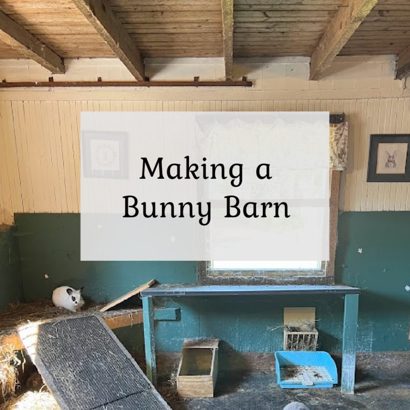 Making a bunny barn