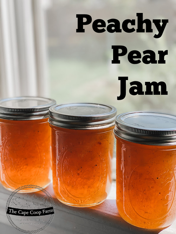 Peachy Pear Jam is awesome on toast, vanilla ice cream, and is a great glaze for chicken & pork!