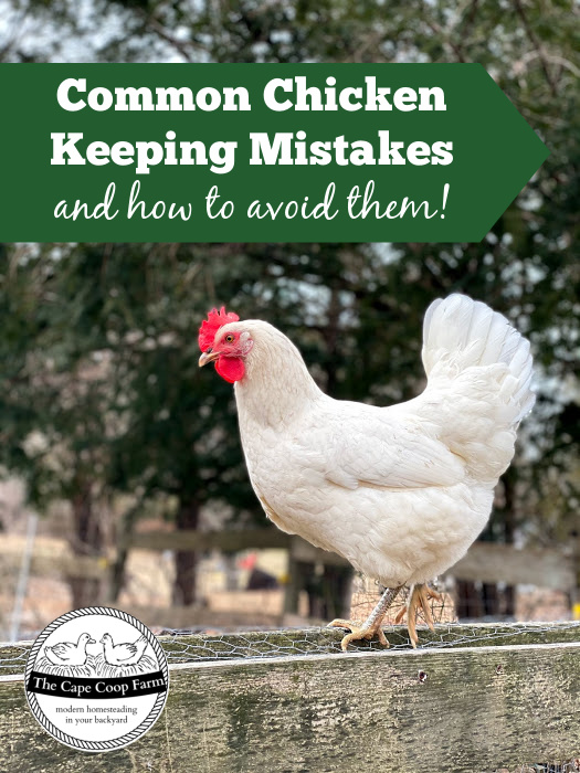 Common Chicken Keeping Mistakes and How to Avoid Them