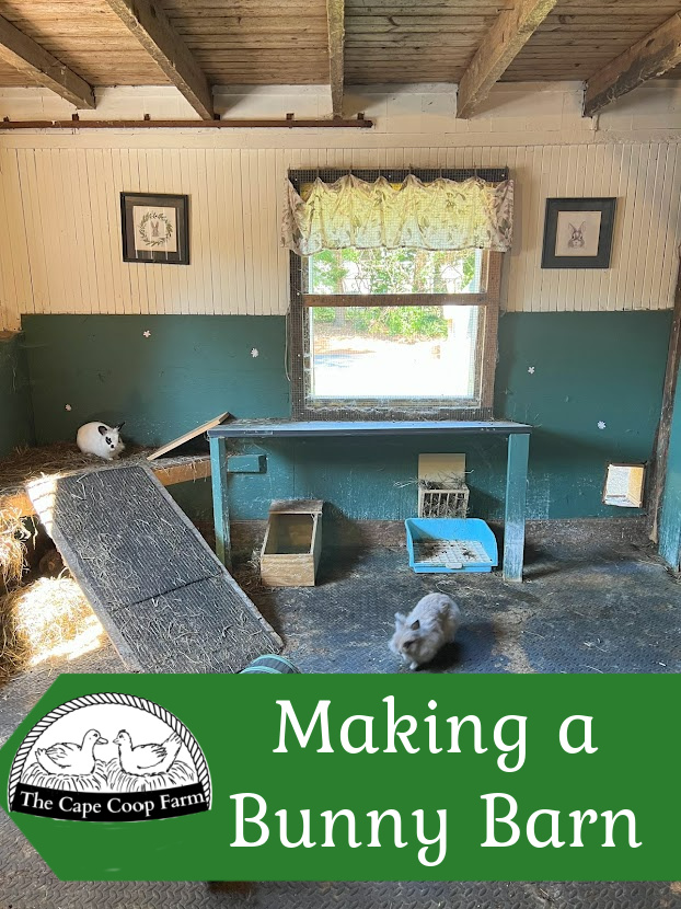 Making a bunny barn in a horse stall
