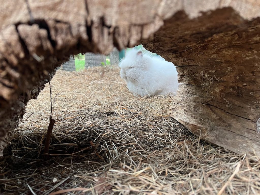 Straw rabbit home - Rabbit Nest - Hideaway - Flop Bunny