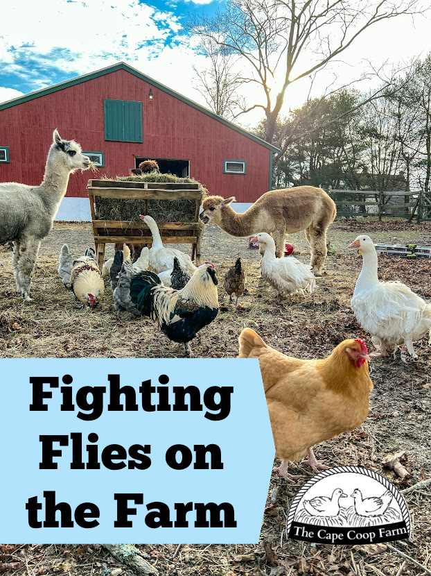 Fighting Flies on the Farm