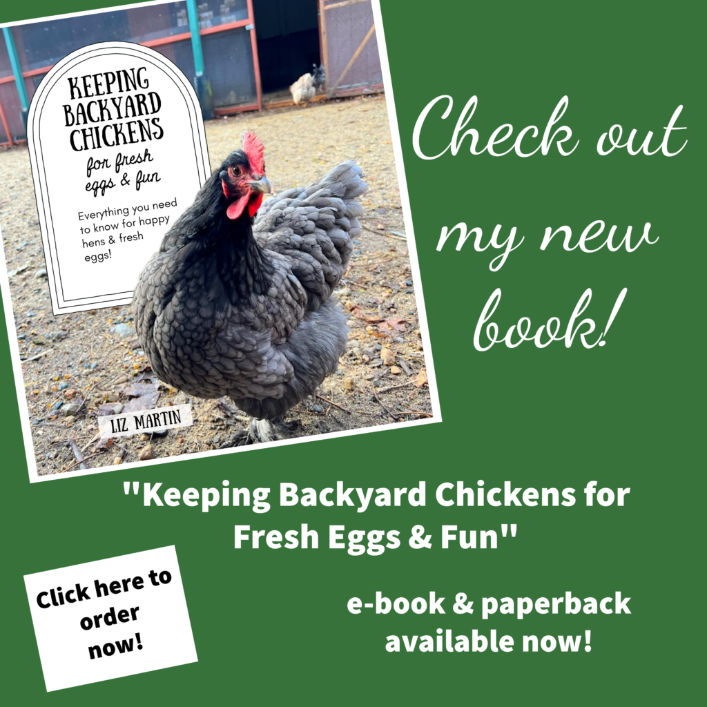 5 Lessons We Can Learn from Chicken Moms - The Cape Coop