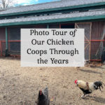 Photo Tour of our Chicken Coop Through the Years