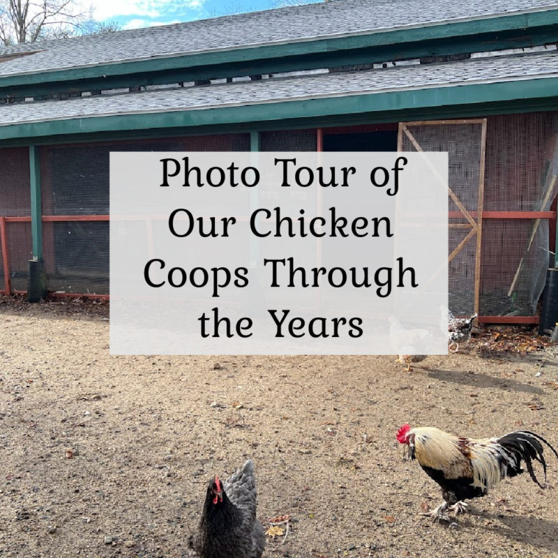 Photo Tour of Our Chicken Coops Through the Years