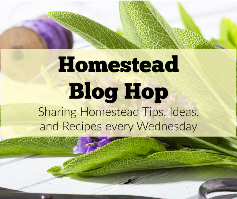 Homestead Blog Hop #457 -Aug 9