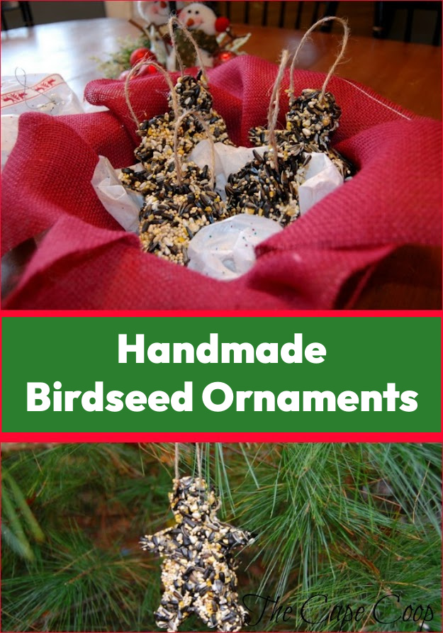 Handmade Birdseed Ornaments