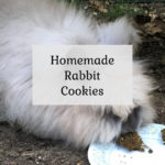 Homemade Rabbit Cookies