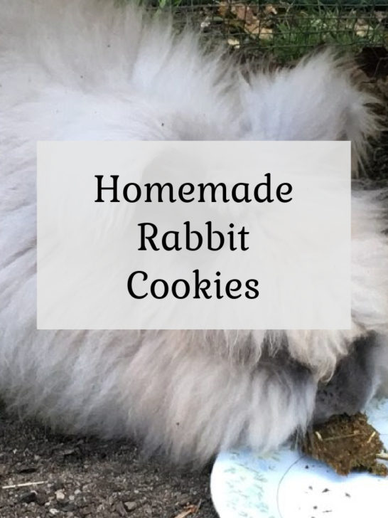 Homemade Rabbit Cookies