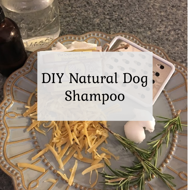 DIY Natural Dog Shampoo