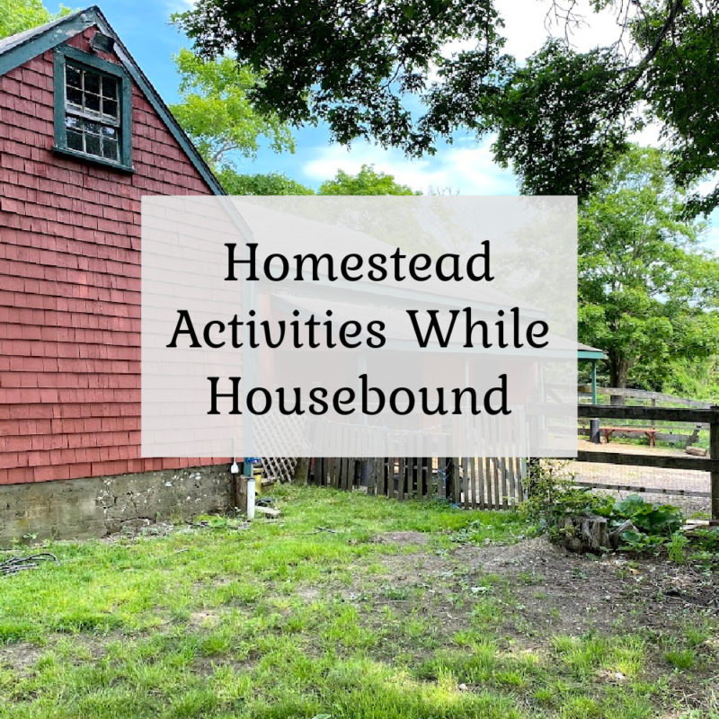 Homestead Activities While Housebound