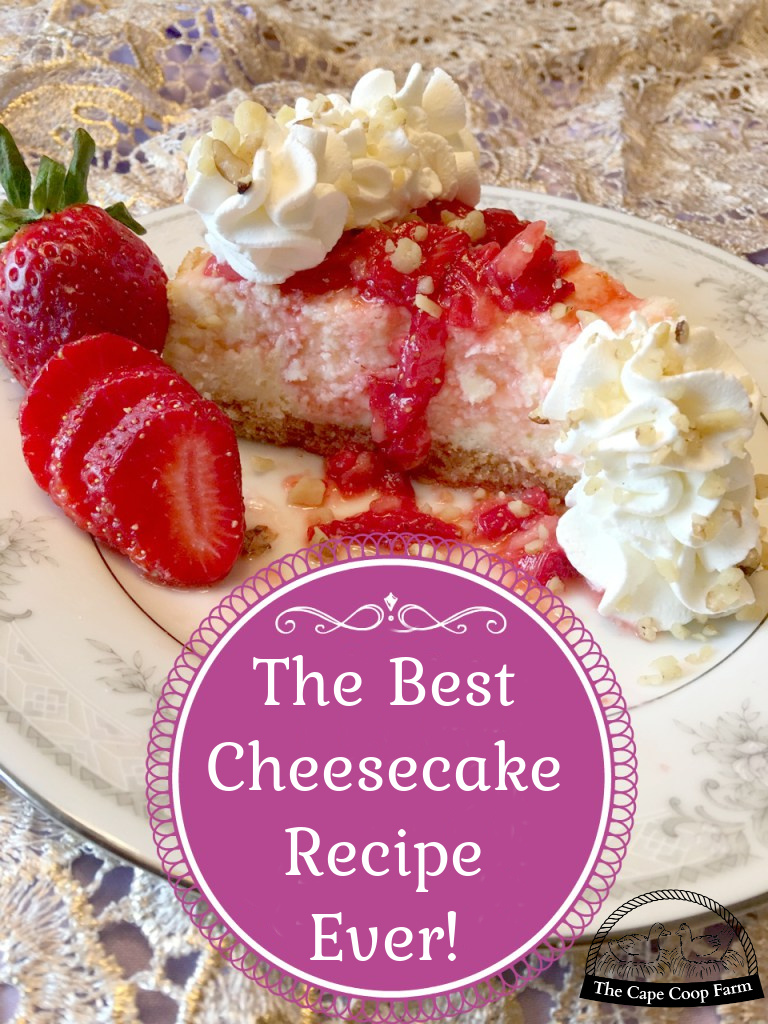 Make the best ever cheesecake! It's not as hard as you might think. Plus check out the bonus cheesecake cupcake recipe!