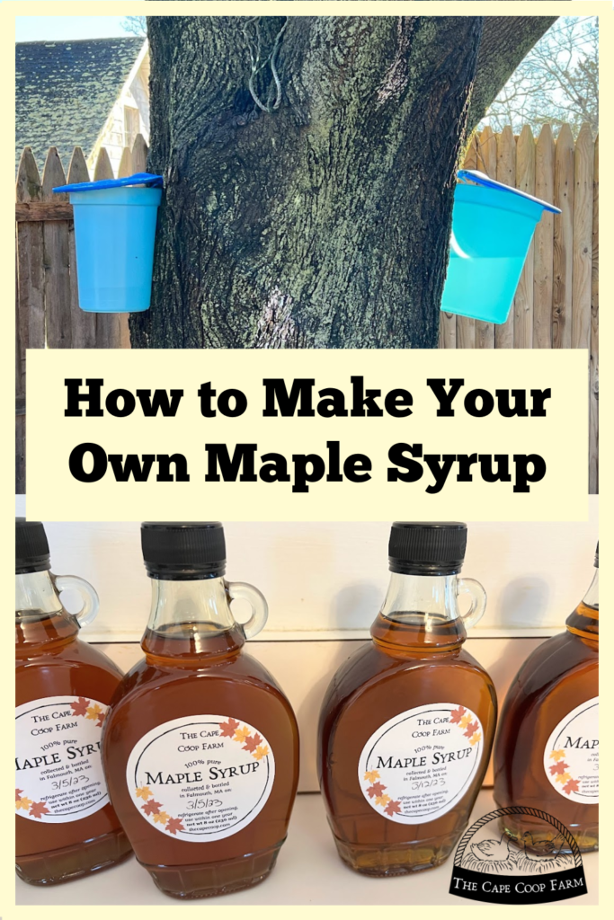 How to Make Your Own Maple Syrup