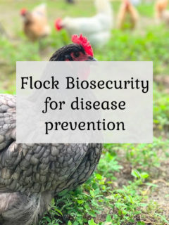 Flock Biosecurity for disease prevention